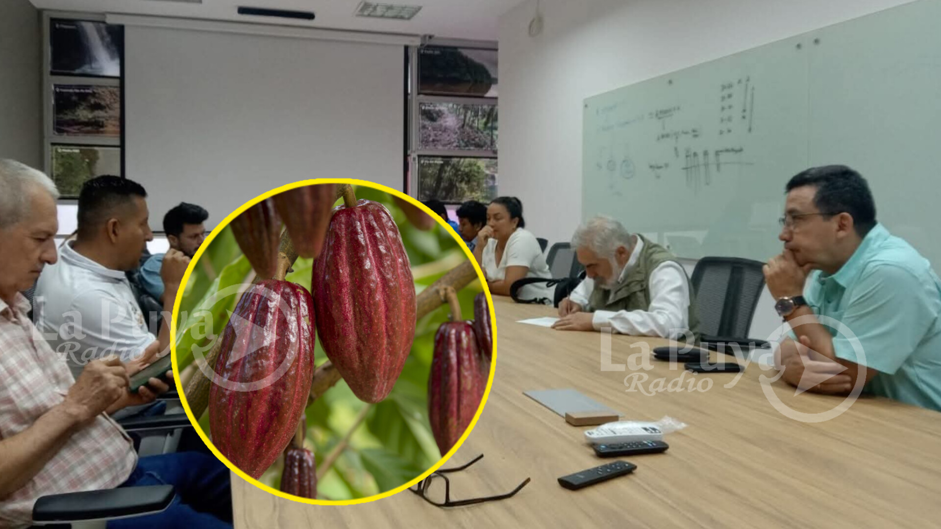 9 municipios del Putumayo se suman al proyecto de cacao orgánico cero deforestación